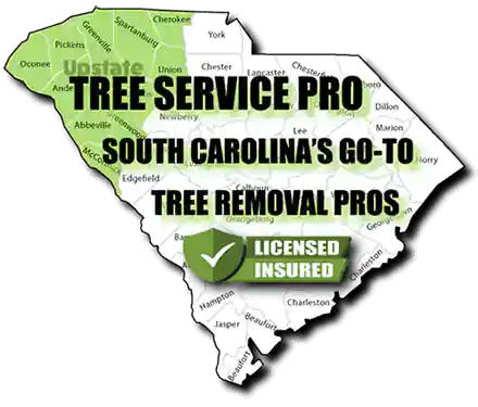 South Carolina Tree Removal Services